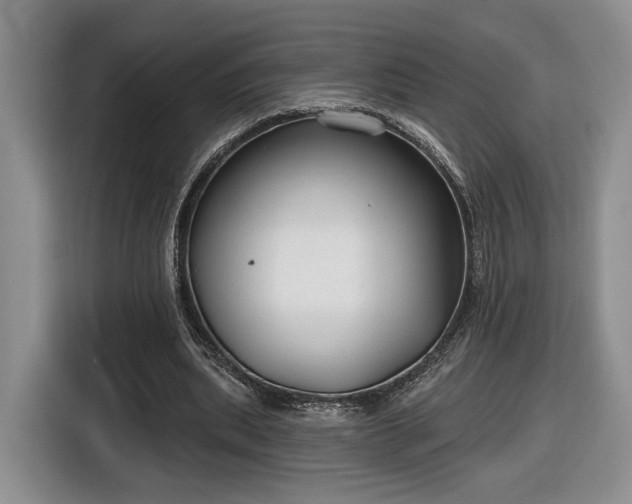 X0000116630439200912181328