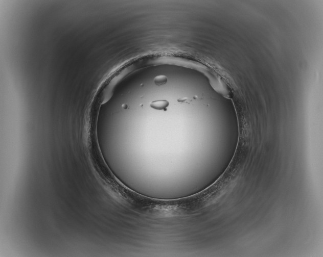 X0000116630440200912181328