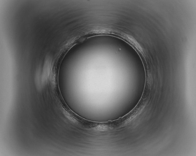 X0000116630441200912181328