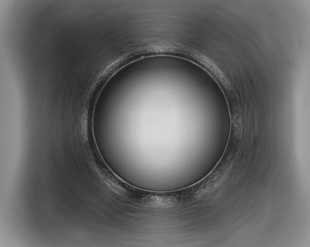 X0000116630442200912181328