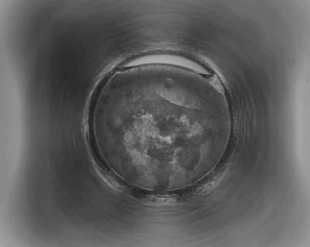 X0000116630443200912181328