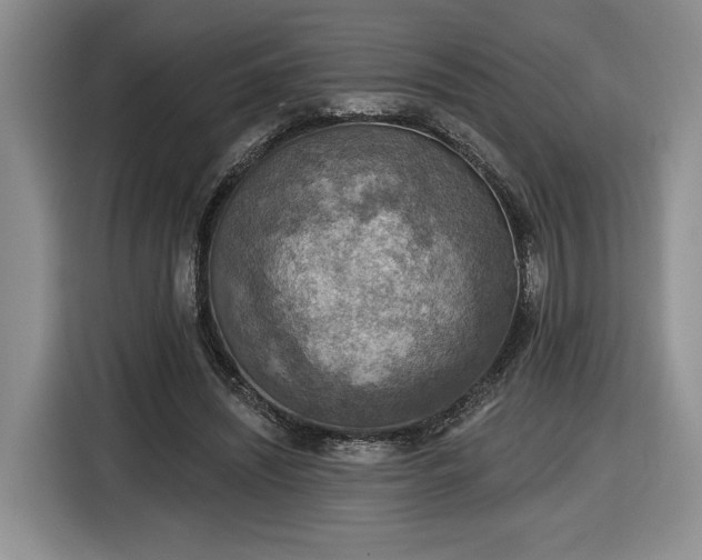 X0000116630444200912181328