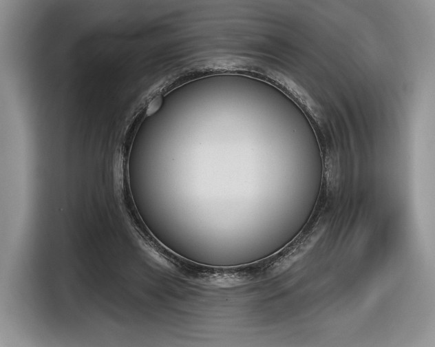 X0000116630445200912181328