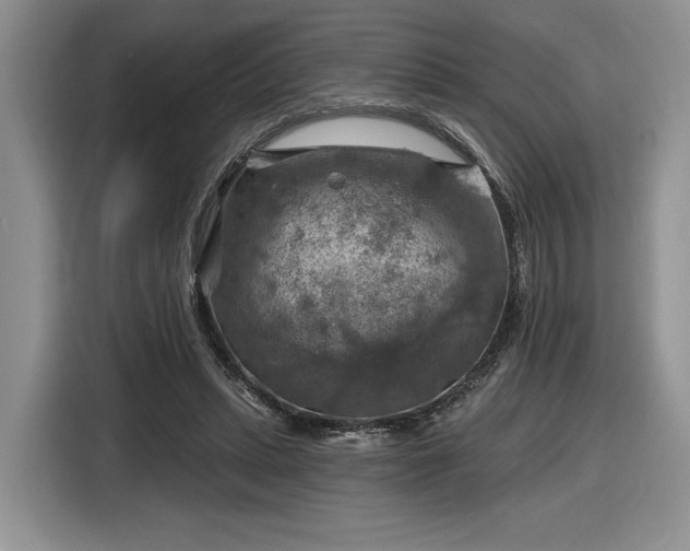 X0000116630447200912181328