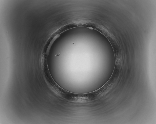 X0000116630448200912181328