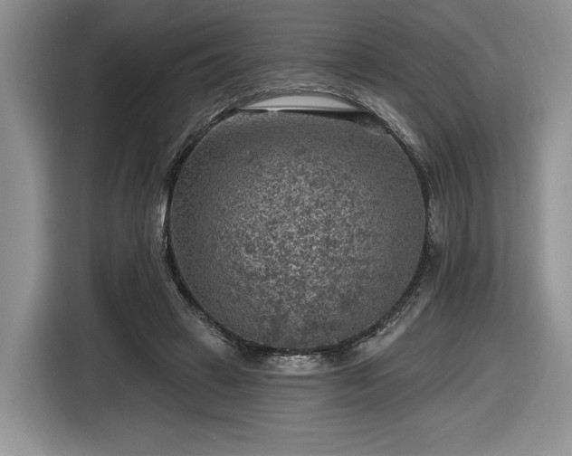 X0000116630449200912181328