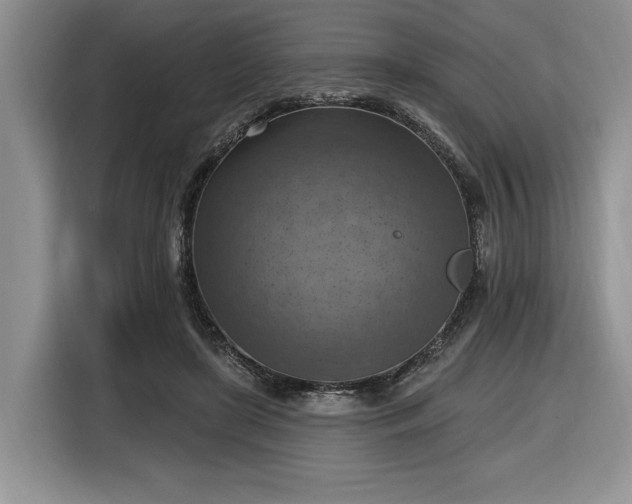 X0000116630451200912181328