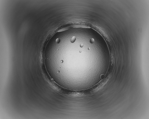 X0000116630453200912181328