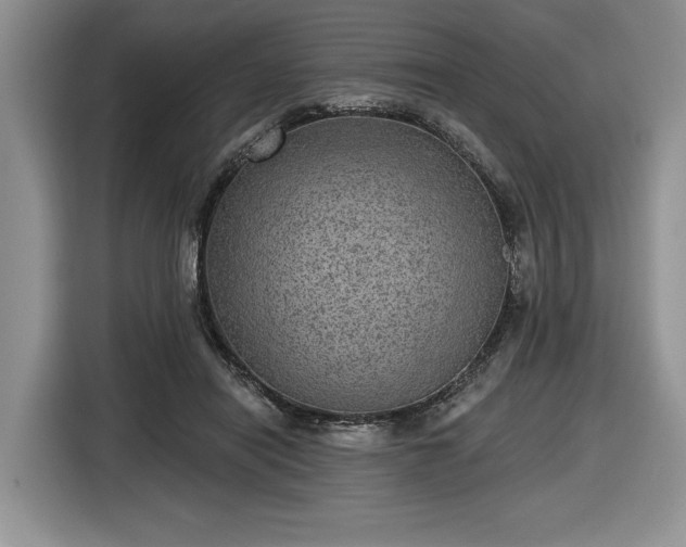 X0000116630454200912181328