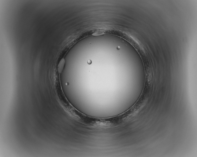 X0000116630455200912181328