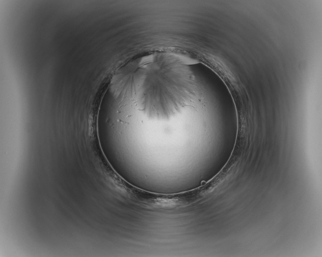 X0000116630457200912181328
