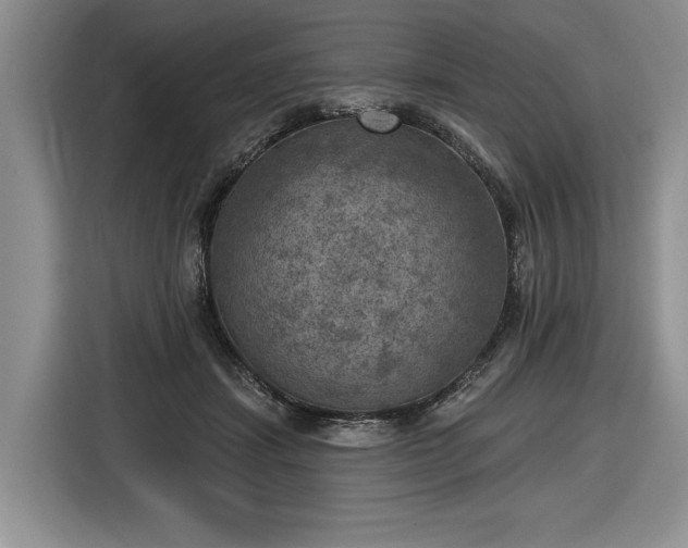 X0000116630459200912181328