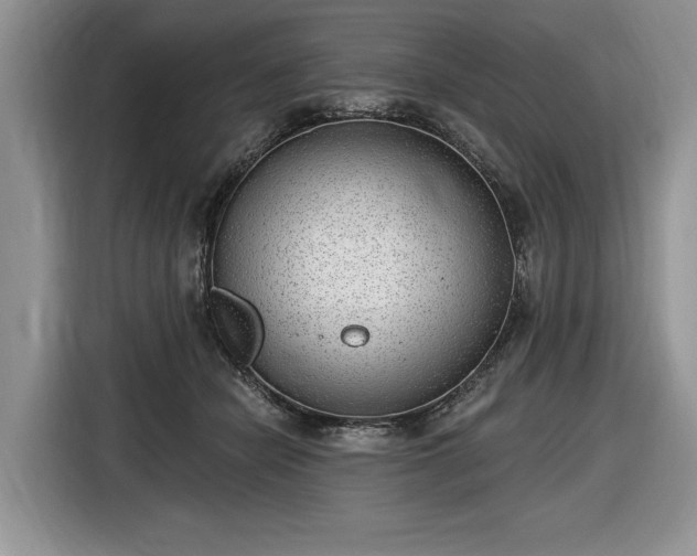 X0000116630462200912181328