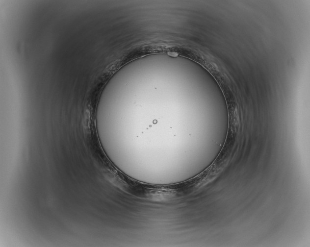 X0000116630463200912181328