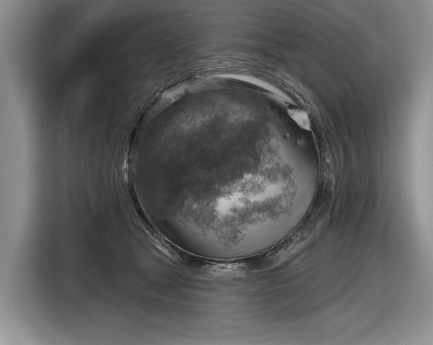 X0000116630465200912181328