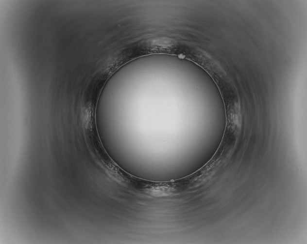 X0000116630468200912181328