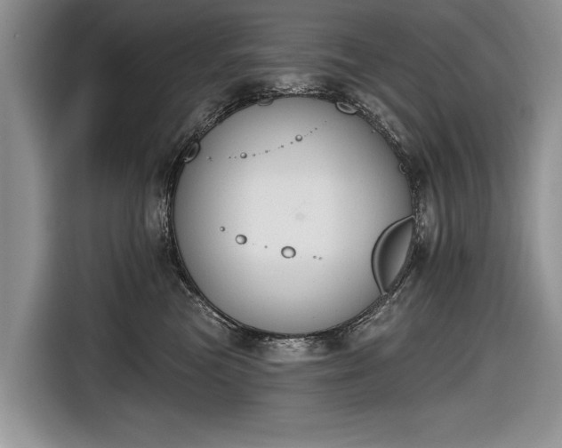 X0000116630473200912181328