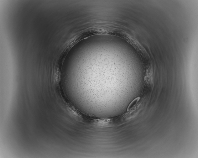 X0000116630474200912181328