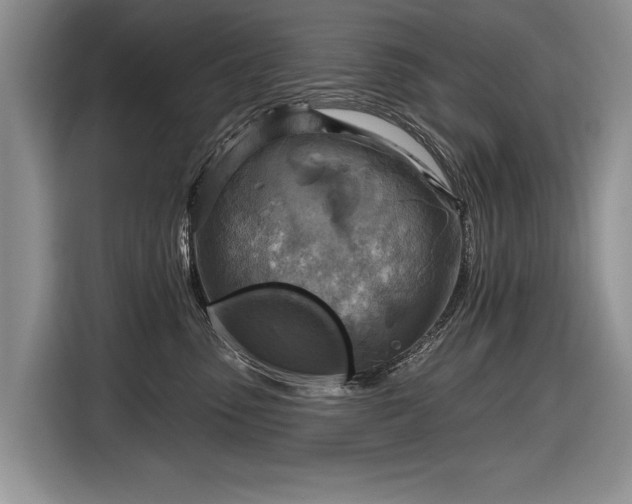 X0000116630475200912181328