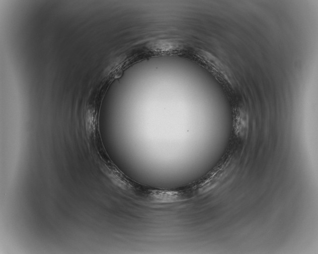 X0000116630476200912181328