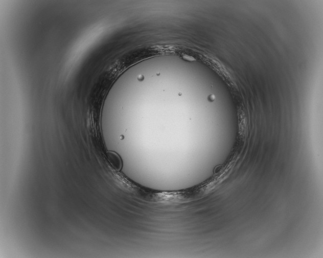 X0000116630477200912181328