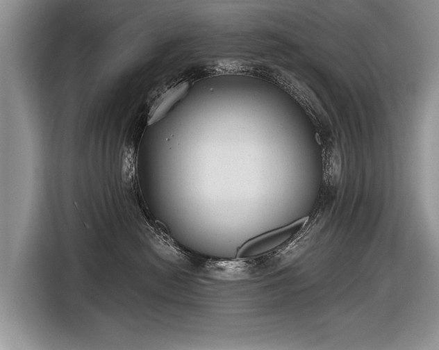 X0000116630478200912181328