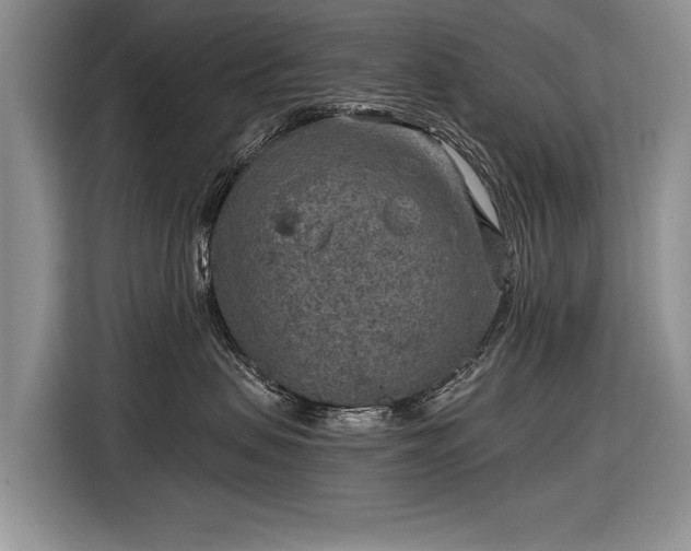 X0000116630479200912181328