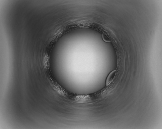 X0000116630480200912181328