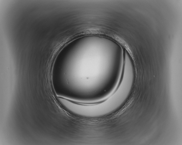 X0000116630481200912181328