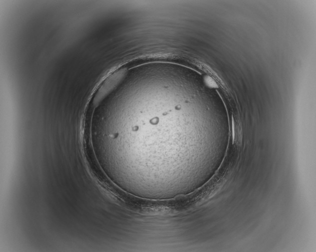 X0000116630483200912181328