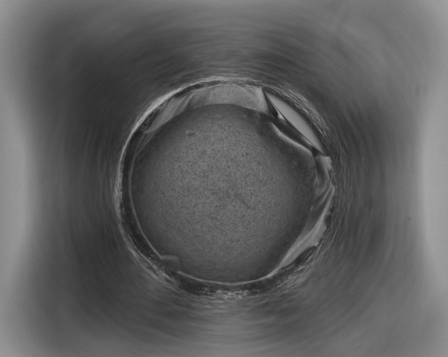 X0000116630484200912181328