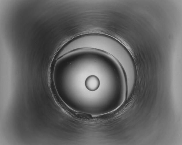 X0000116630485200912181328