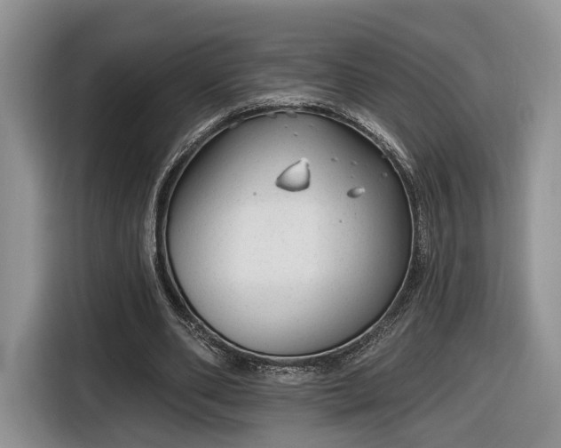 X0000116630486200912181328