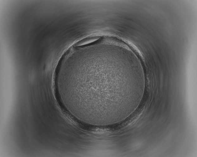 X0000116630487200912181328