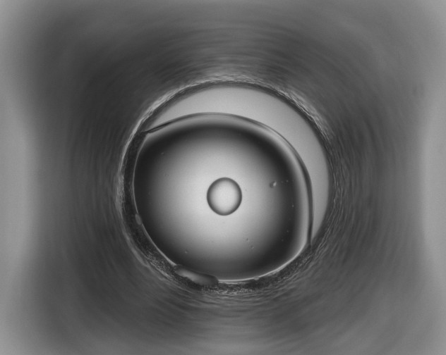 X0000116630488200912181328