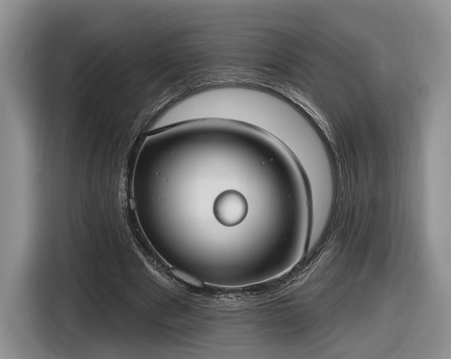 X0000116630489200912181328