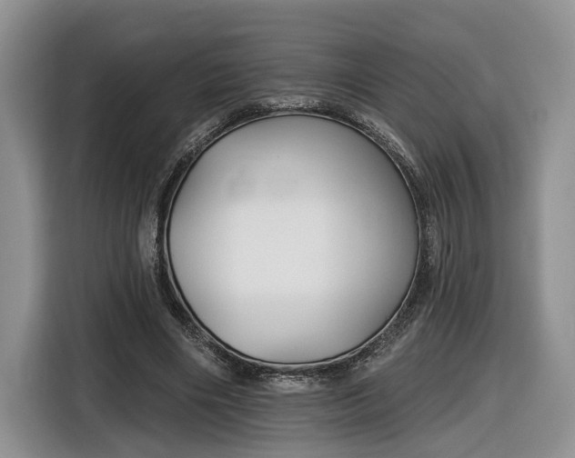 X0000116630490200912181328