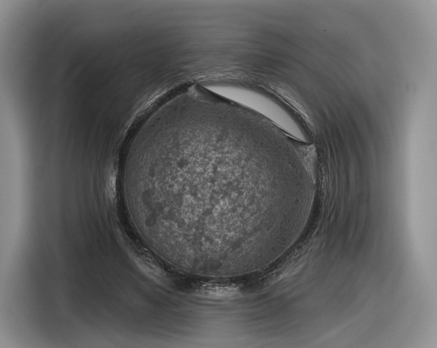 X0000116630491200912181328