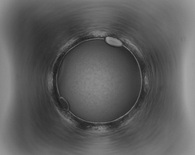 X0000116630492200912181328