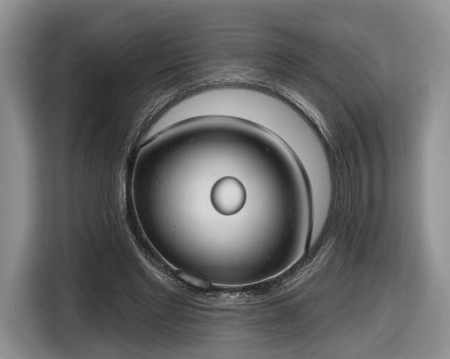 X0000116630493200912181328