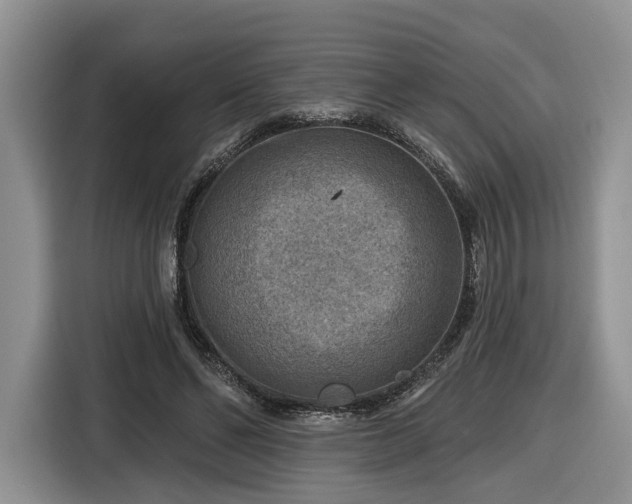 X0000116630494200912181328