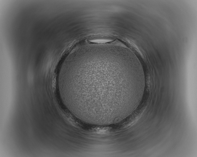 X0000116630495200912181328