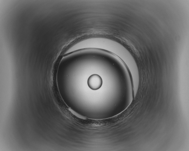 X0000116630496200912181328