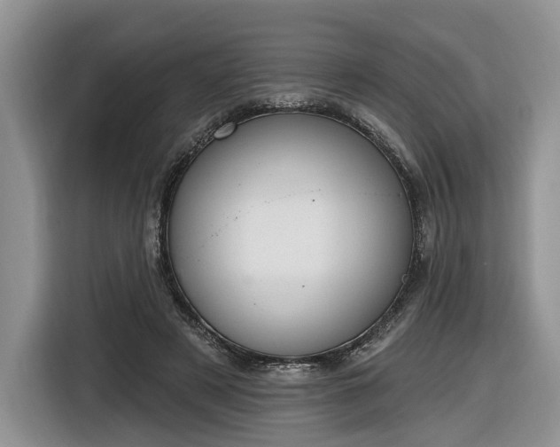 X0000116630497200912181328