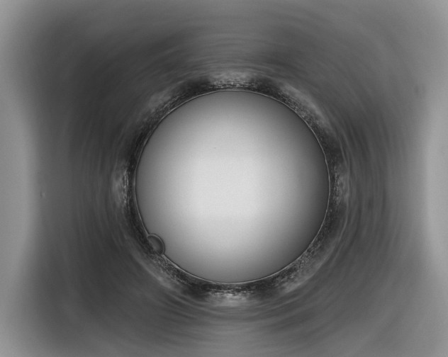 X0000116630498200912181328