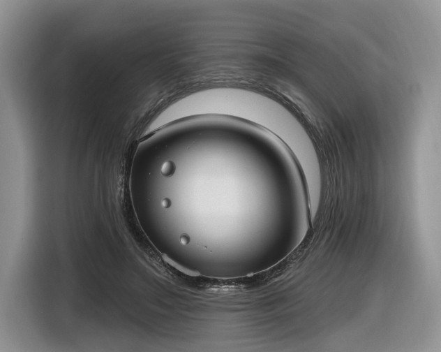 X0000116630499200912181328