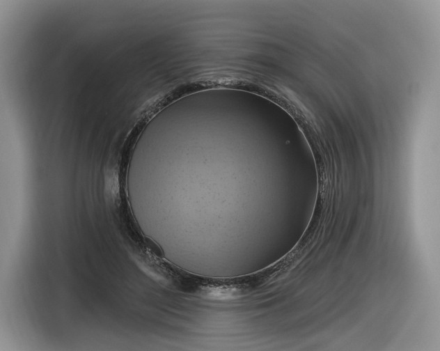 X0000116630500200912181328