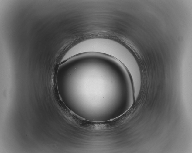 X0000116630501200912181328