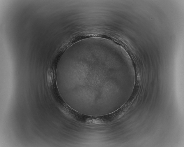 X0000116630503200912181328