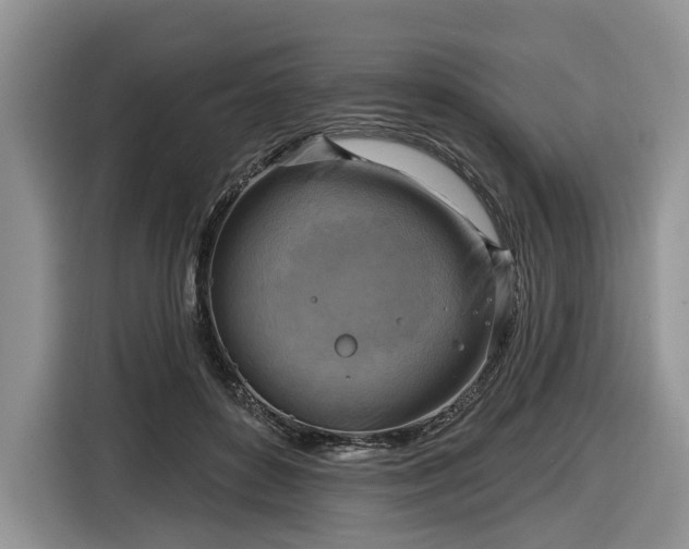 X0000116630504200912181328